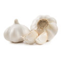 Fresh garlic 2020 wholesale